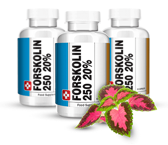 forskolin forskolin