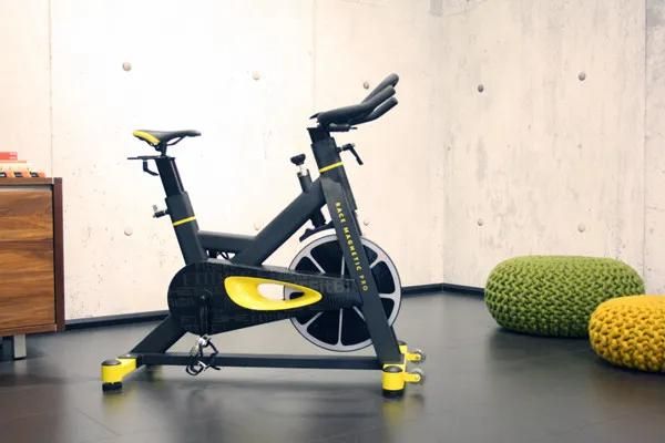 Fitbike magnetic pro 2