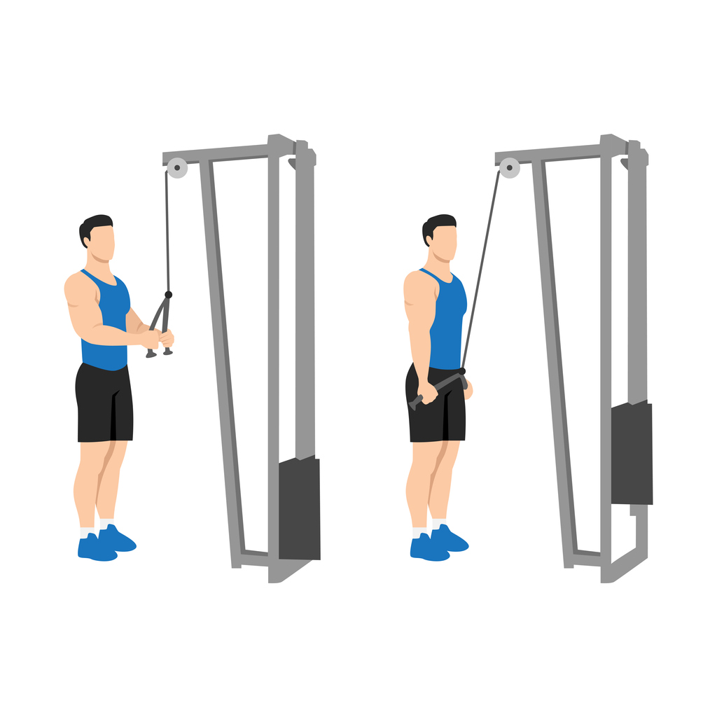 tricep pushdown