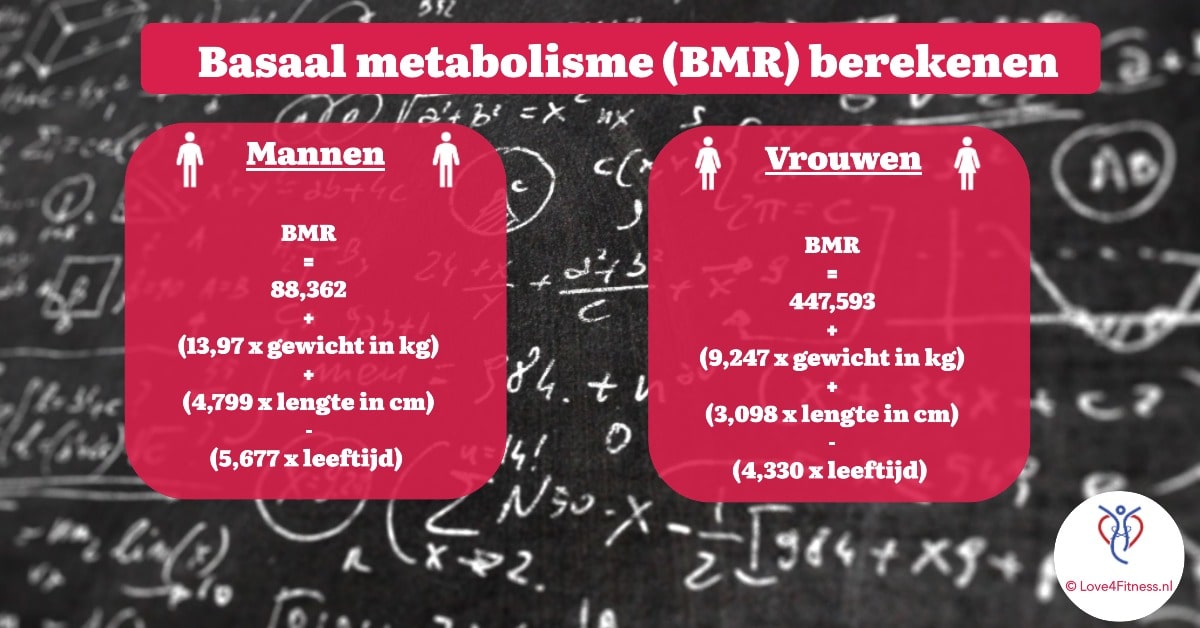 basaal metabolisme berekenen