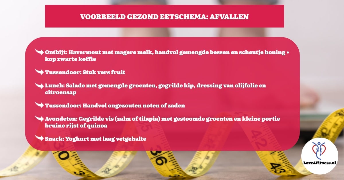 voorbeeld maaltijdplan afvallen