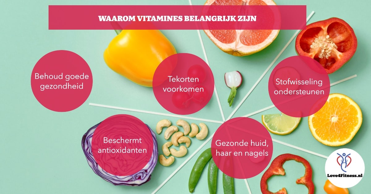 waar zijn vitamines belangrijk