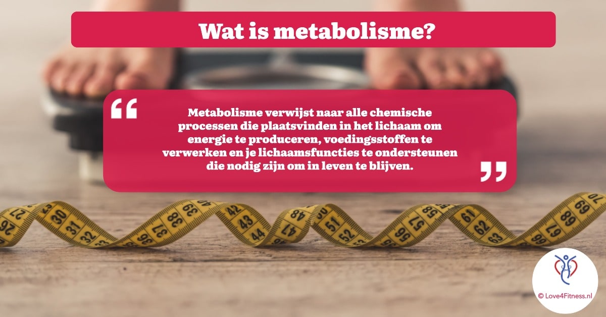 wat is metabolisme