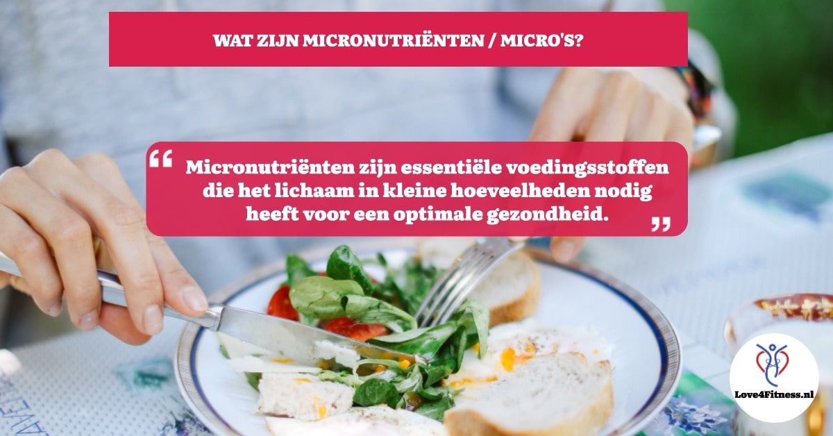 wat zijn micronutrienten