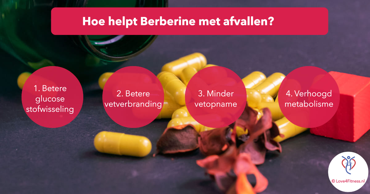 hoe kan berberine helpen met afvallen