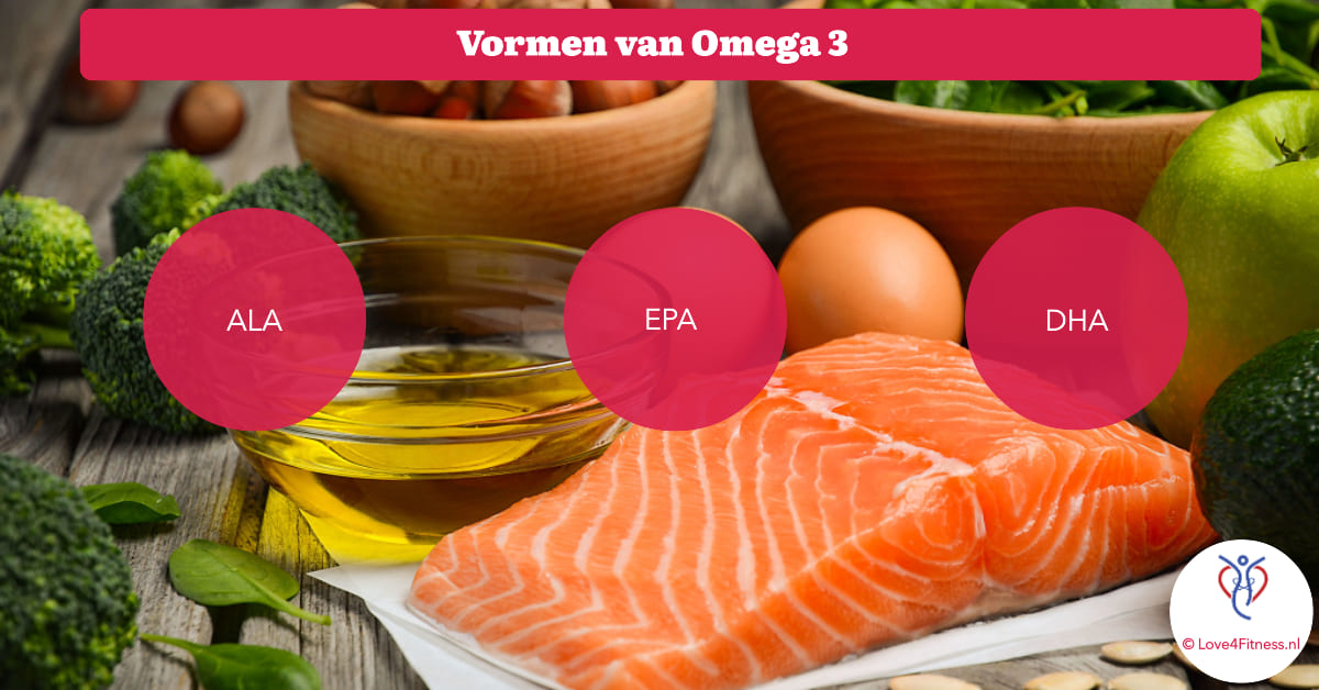 vormen van omega 3