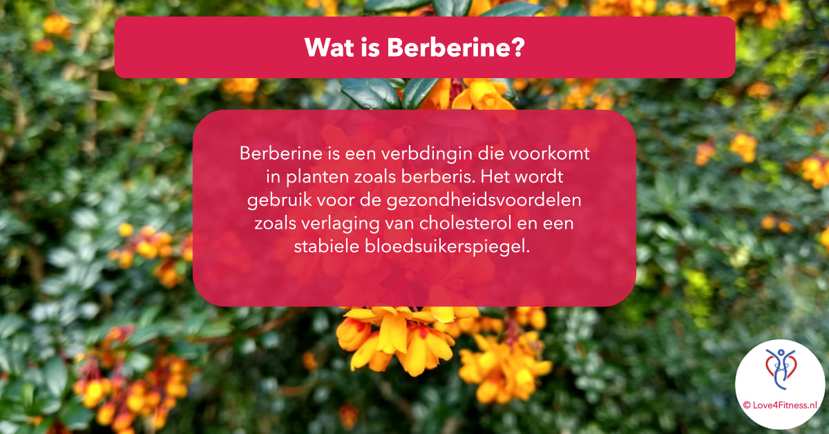 wat is berberine