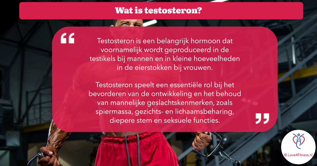 wat is testosteron